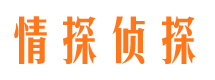 岭东市侦探公司